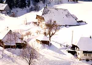 Wintersport und herrliche Ausflüge im Schwarzwald